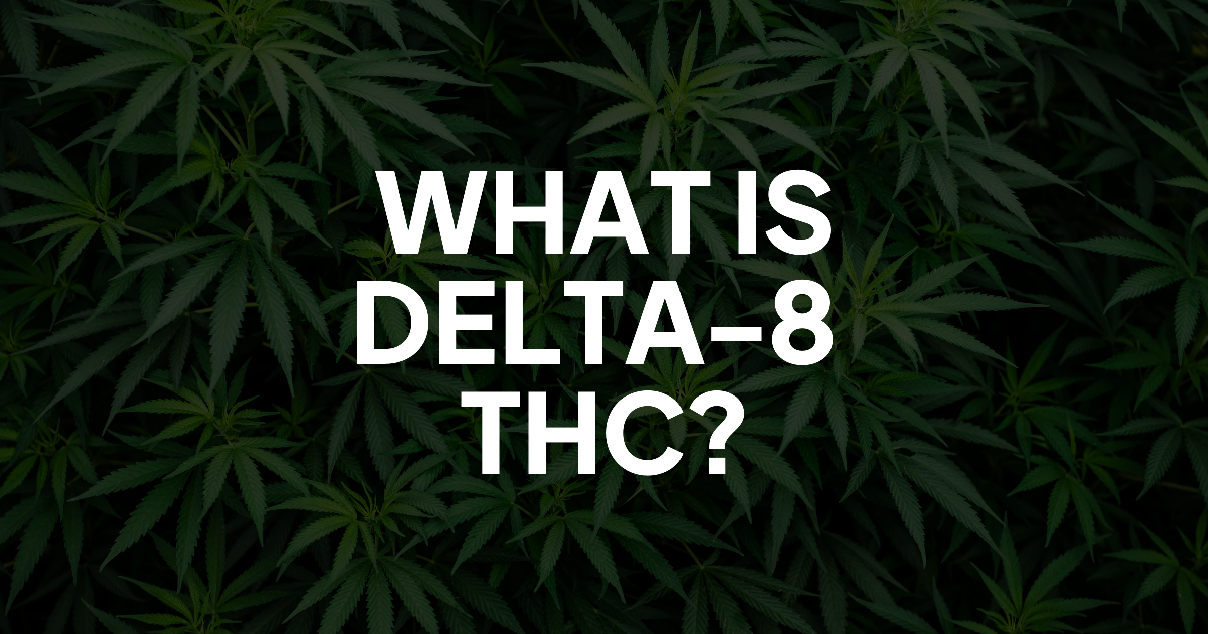 What Is Delta-8 Thc?