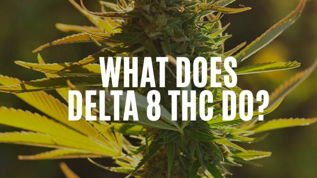 CannaClear.com | Shop Bulk Delta-8 THC, Bulk HHC and other hemp products online