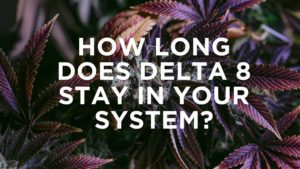 CannaClear.com | Shop Bulk Delta-8 THC, Bulk HHC and other hemp products online