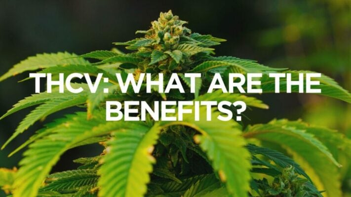 CannaClear.com | Shop Bulk Delta-8 THC, Bulk HHC and other hemp products online