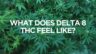 CannaClear.com | Shop Bulk Delta-8 THC, Bulk HHC and other hemp products online