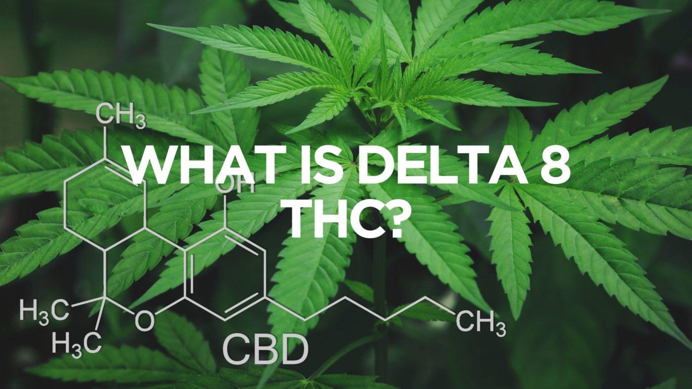 What Is Delta 8 Thc?