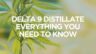 CannaClear.com | Shop Bulk Delta-8 THC, Bulk HHC and other hemp products online