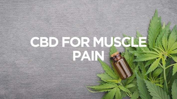 CBD for Muscle Pain - CBD Category | CannaClear