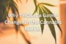 why thca is a game changer in the cannabis market