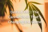 Delta 8 THC: The Cannabinoid That’s Changing the Game