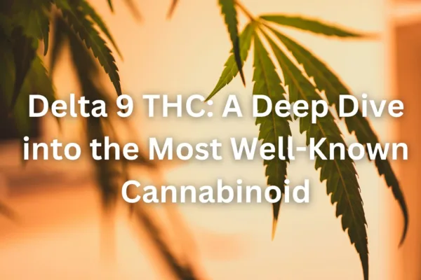 Delta 9 THC: A Deep Dive into the Most Well-Known Cannabinoid