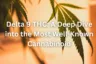Delta 9 THC: A Deep Dive into the Most Well-Known Cannabinoid