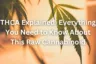 THCA Explained: Everything You Need to Know About This Raw Cannabinoid